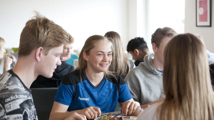 Frokostpause på Lyngs