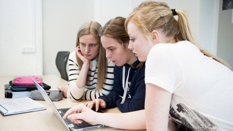 Gruppearbejde med eleverne på Lyngs